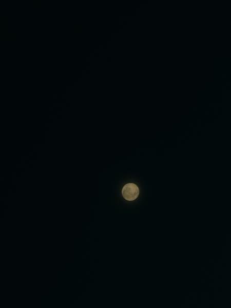 A bright full moon illuminates the vast, dark night sky, captured over 't Jannendorp, Leusden